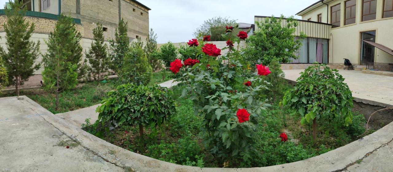 Auberge de jeunesse Hud Hud à Boukhara Extérieur photo